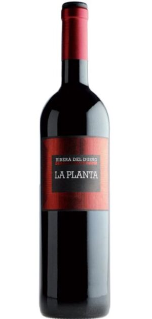 botella la planta de arzuaga