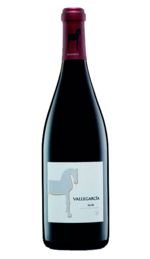 botella vallegarcia syrah crianza