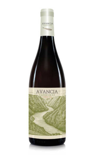 botella vino blanco avancia cuvee de o