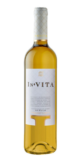 botella vino blanco in vita
