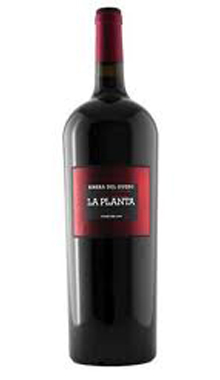 botella vino tinto la planta de arzuaga magnum 1,5 litros