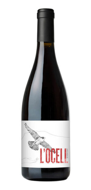 botella vino tinto l'ocell
