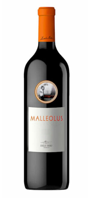 botella vino tinto malleolus