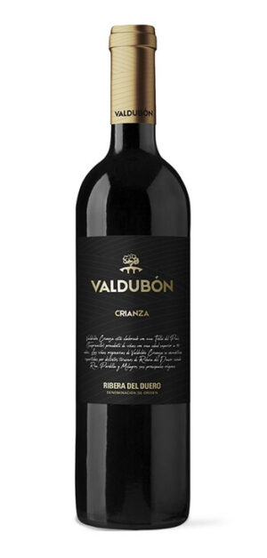 botella vino tinto valdubon crianza
